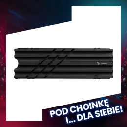 Chłodzenie dla dysku M.2 AK-60
